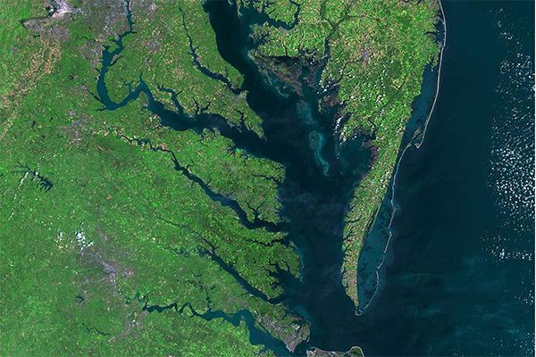 Chesapeake Bay