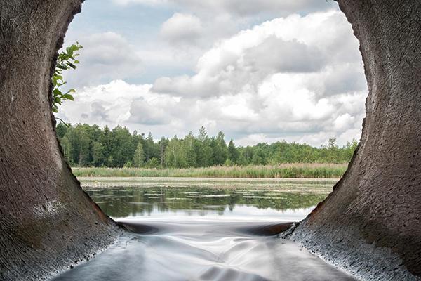 looking out an oversized tube into a pond